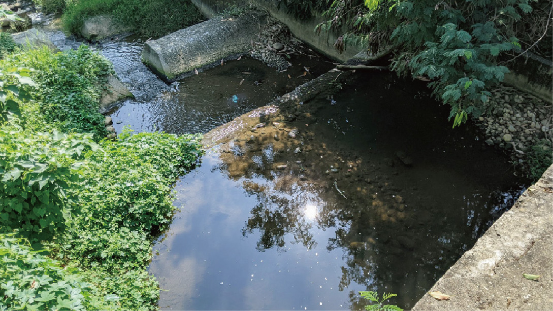 東 大 溪 整 治 後 水 質 清 澈 ， 污 染 程 度 明 顯 降 低 