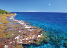 綠島珊瑚礁、海水湯泉樂逍遙48452