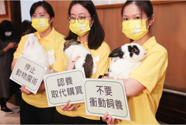 台 灣 愛 兔 協 會 倡 議 活 動 