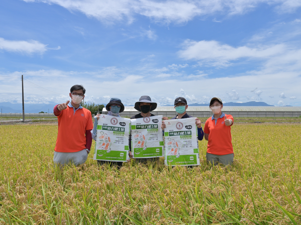 農民新助攻！「台肥給力肥1號」助農民省肥、省工及產量提升