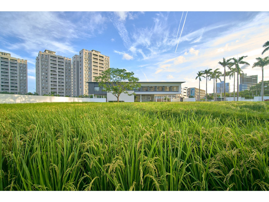 國泰雍萃接待中，坐擁城中央田園景觀。