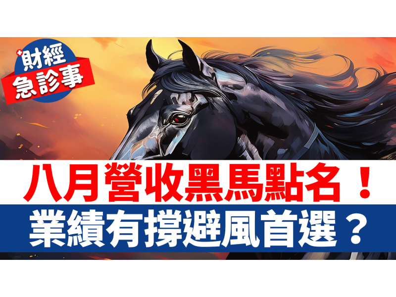 財經急診事-20240909/八月營收黑馬股點名!業績有撐避風首選? - 理財周刊
