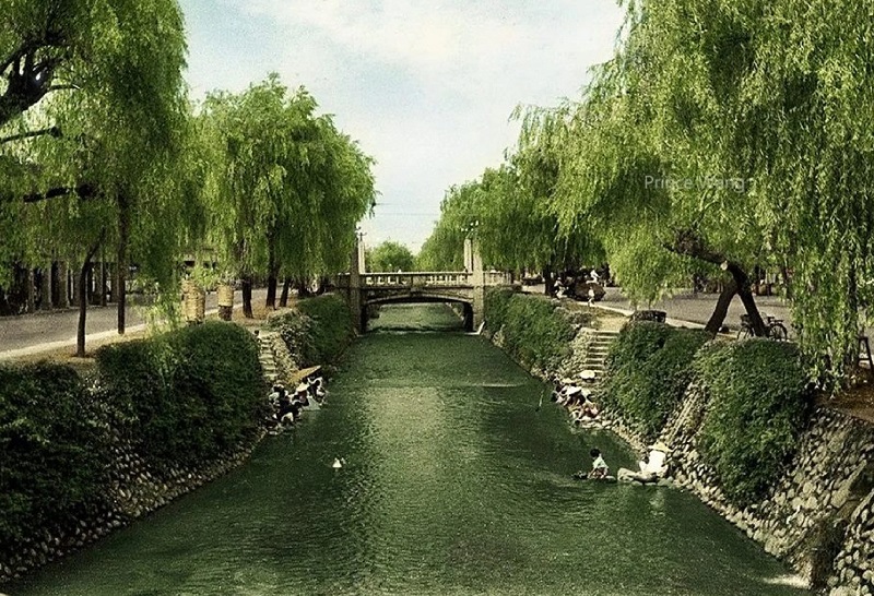 綠 川 今 昔 風 貌 