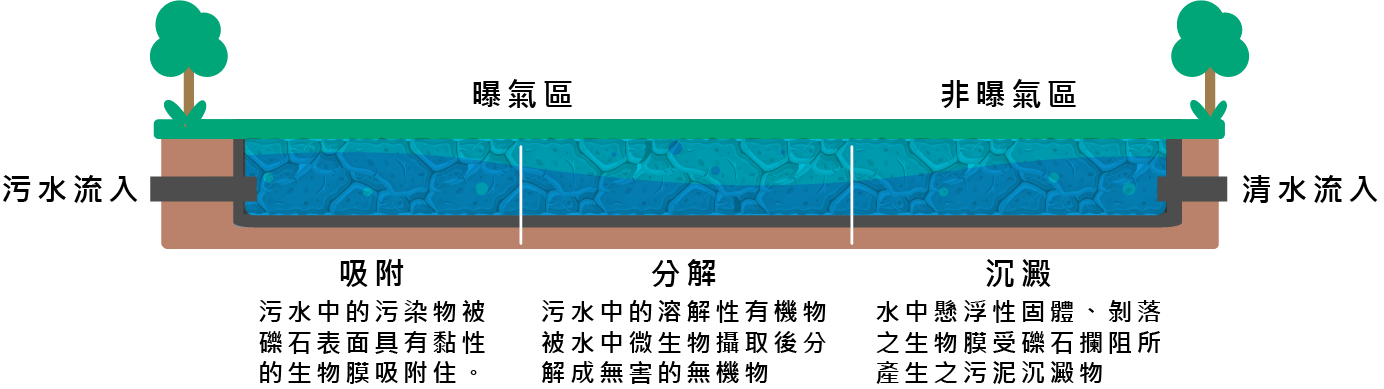 礫 間 淨 化 場 淨 水 流 程 