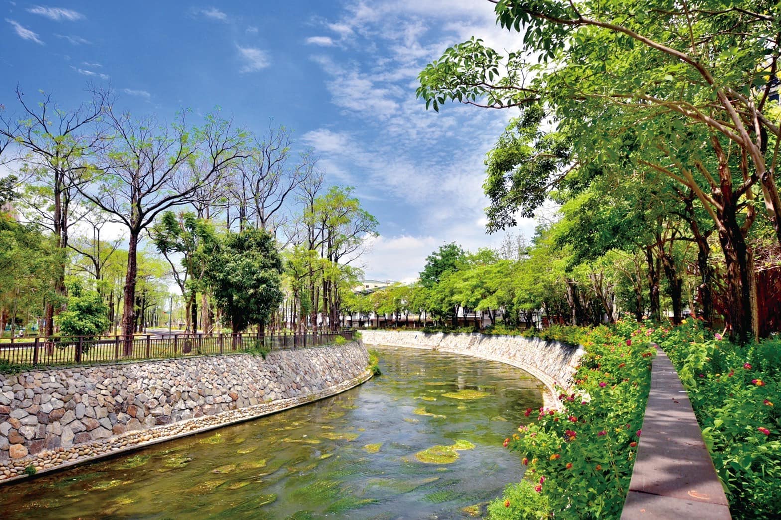 綠 川 興 大 段 河 岸 兩 旁 綠 意 盎 然 ， 形 成 美 麗 綠 廊 道             圖 片 來 源 ： 臺 中 市 政 府 水 利 局 