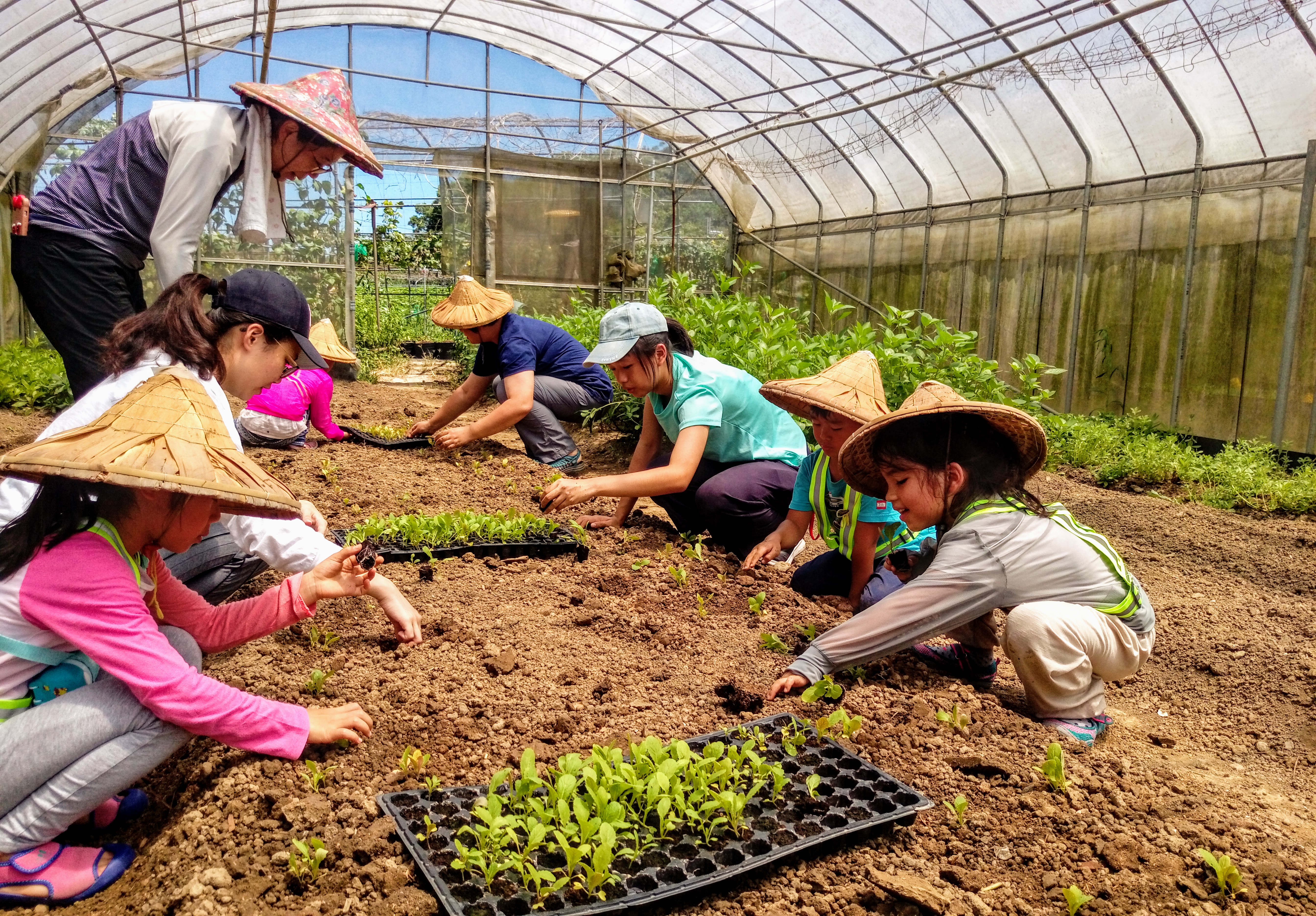 建 蓁 環 境 教 育 基 金 會 致 力 於 環 境 永 續 教 育 ， 舉 辦 親 子 體 驗 農 作 課 程 