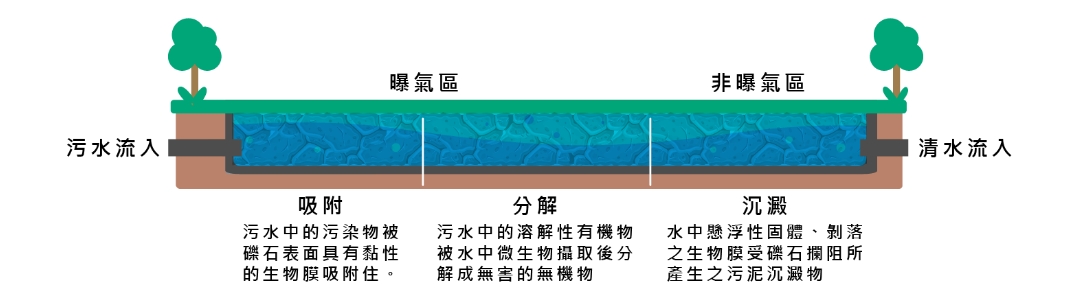 礫 間 淨 化 場 淨 水 流 程 
