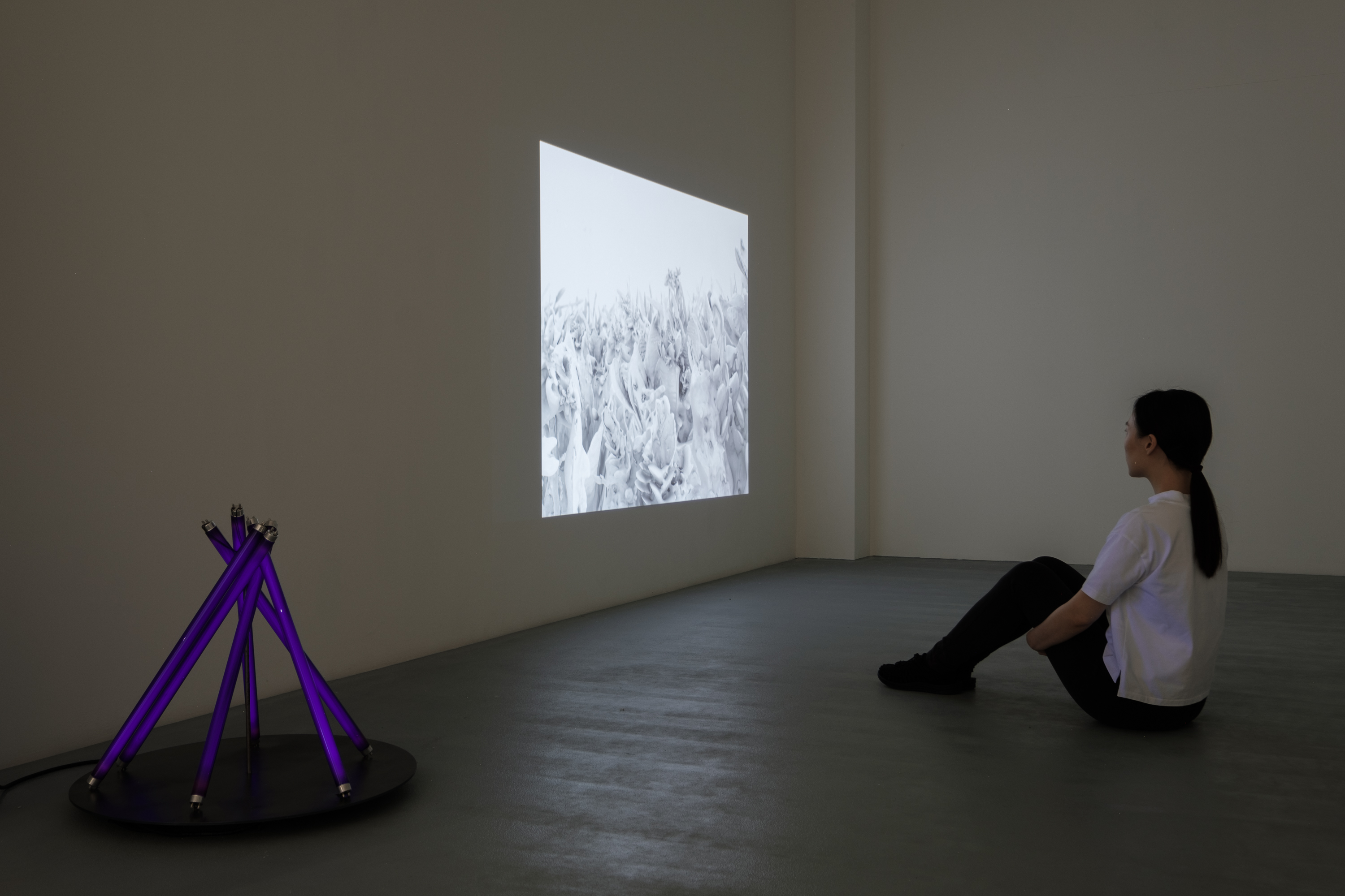 s s s p a c e s p a c e 「 打 開 生 活 的 維 度 」 展 覽 現 場 s s s p a c e s p a c e 「 打 開 生 活 的 維 度 」 展 覽 現 場