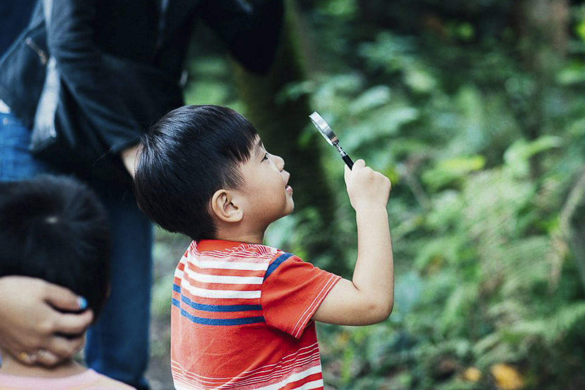 觀 察 ！ 向 環 境 學 習 生 活 智 慧 