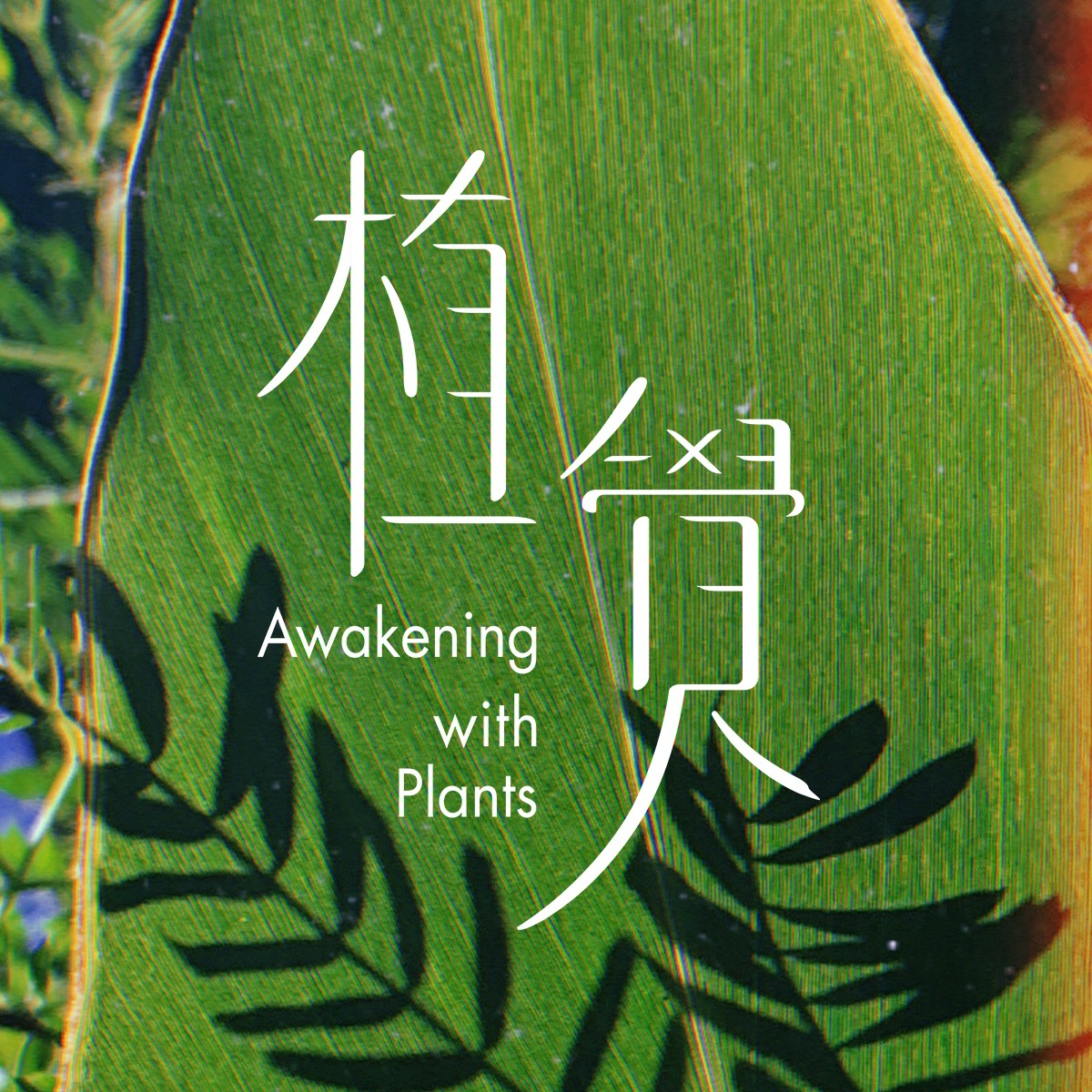 植 覺   A w a k e n i n g   w i t h   P l a n t s   