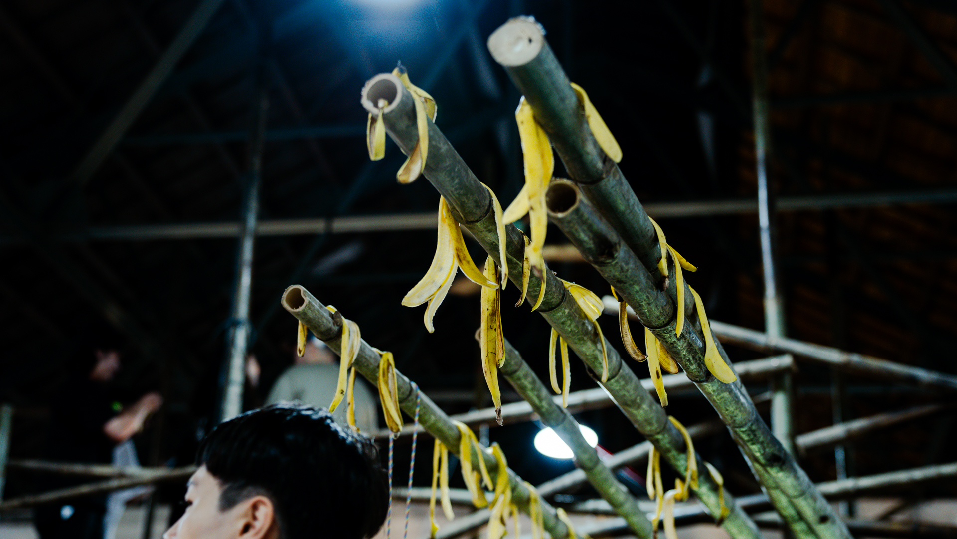 掛 在 「 不 平 台 c r a z y b a m b o o 」 上 滑 滑 的 香 蕉 皮 圖 / 草 率 季 提 供 掛 在 「 不 平 台 c r a z y b a m b o o 」 上 滑 滑 的 香 蕉 皮 圖 / 草 率 季 提 供