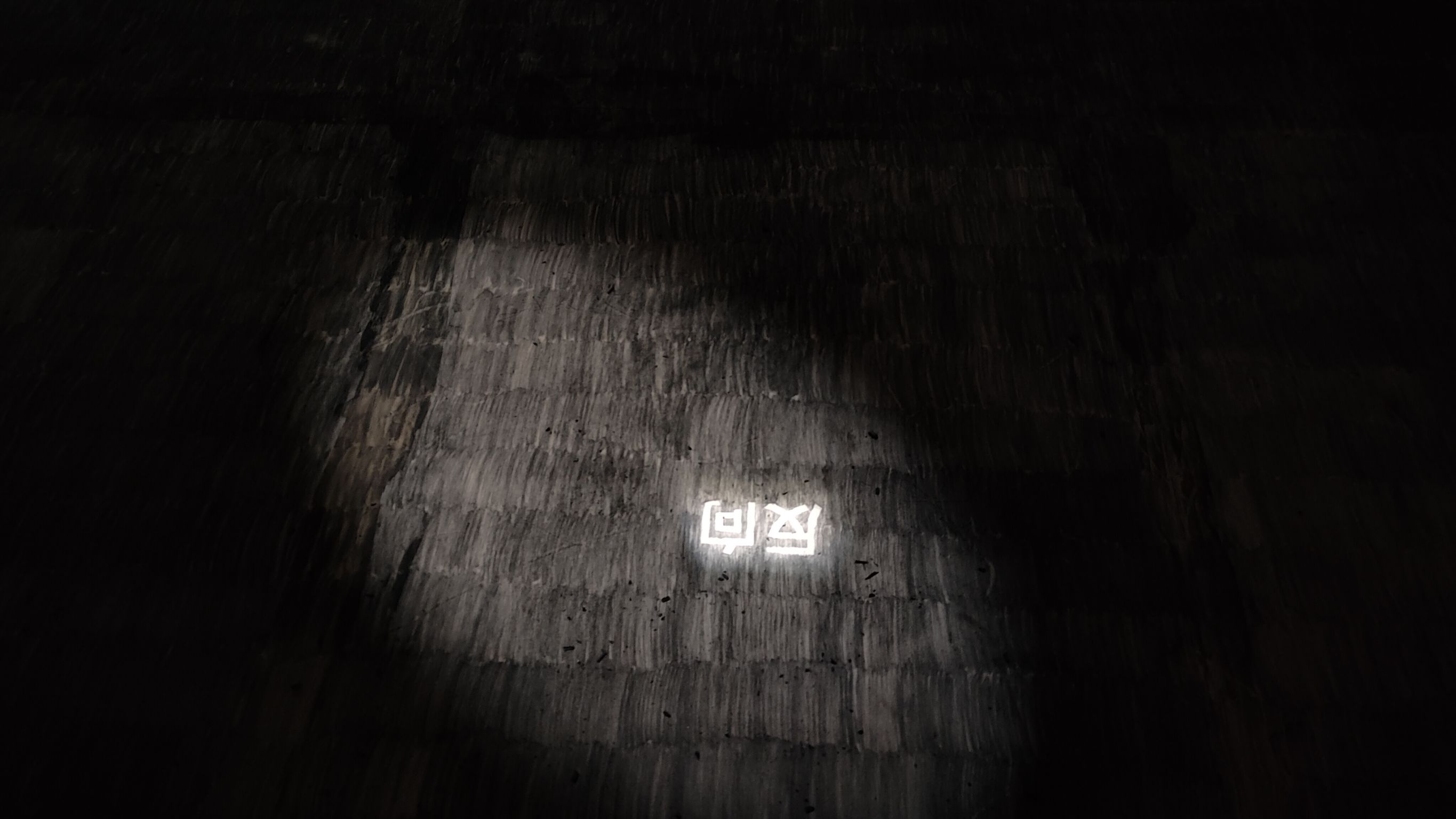 入 選     彭 韋 《 空 白 》 作 品 局 部 。 攝 影 / 戴 衣 薰 