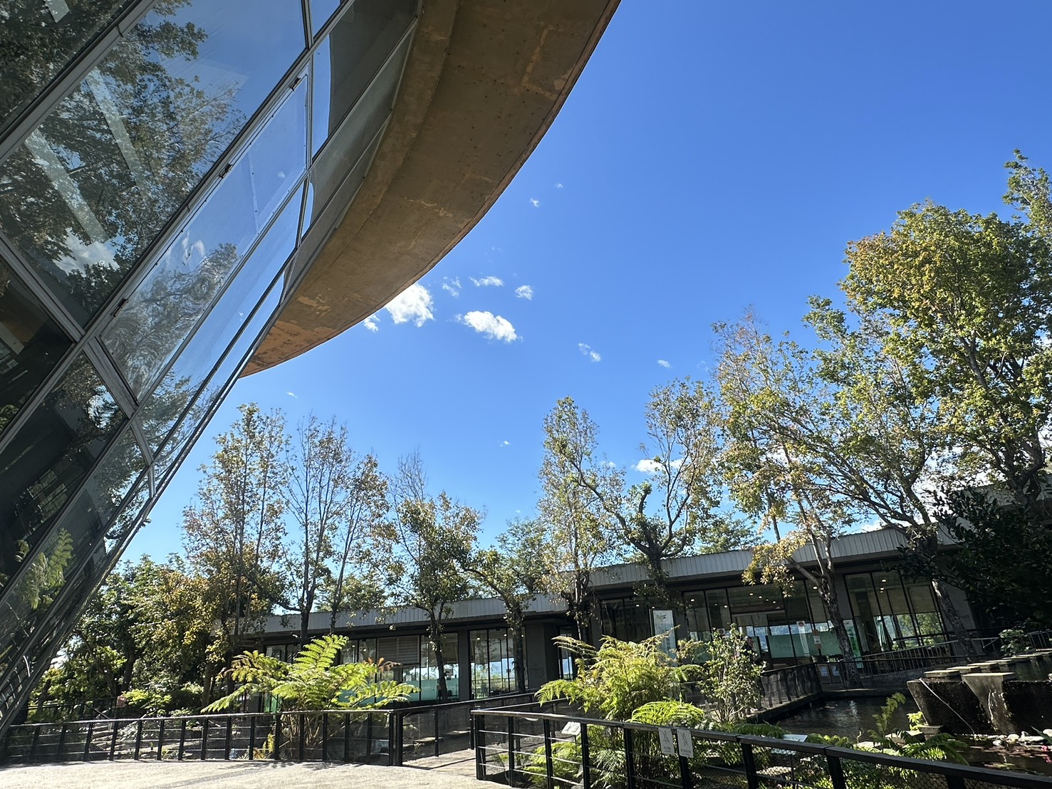 植 物 園 景 區 一 角 ( 台 東 原 生 應 用 植 物 園 提 供 ) 