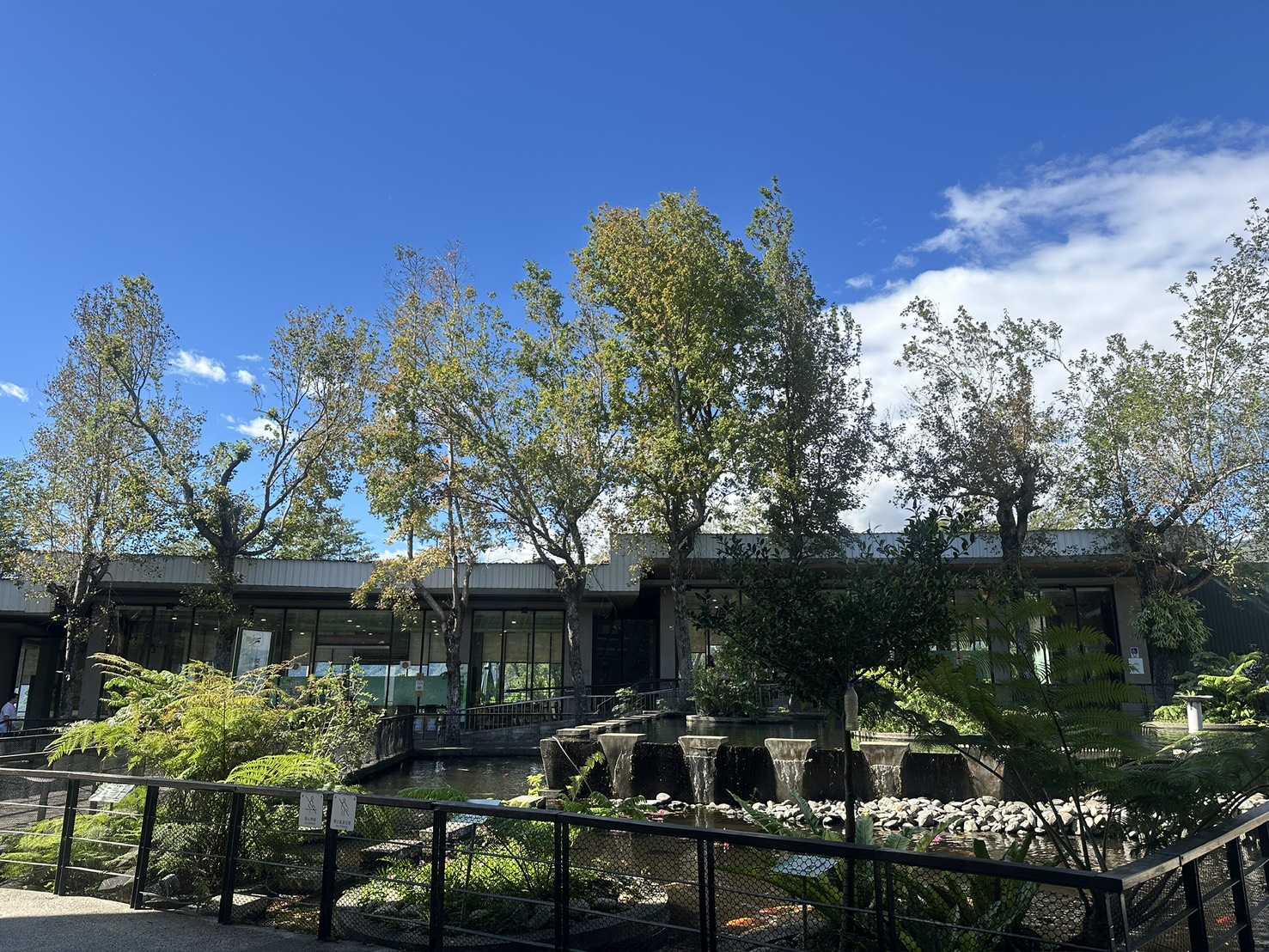 植 物 園 景 區 一 角 ( 台 東 原 生 應 用 植 物 園 提 供 ) 