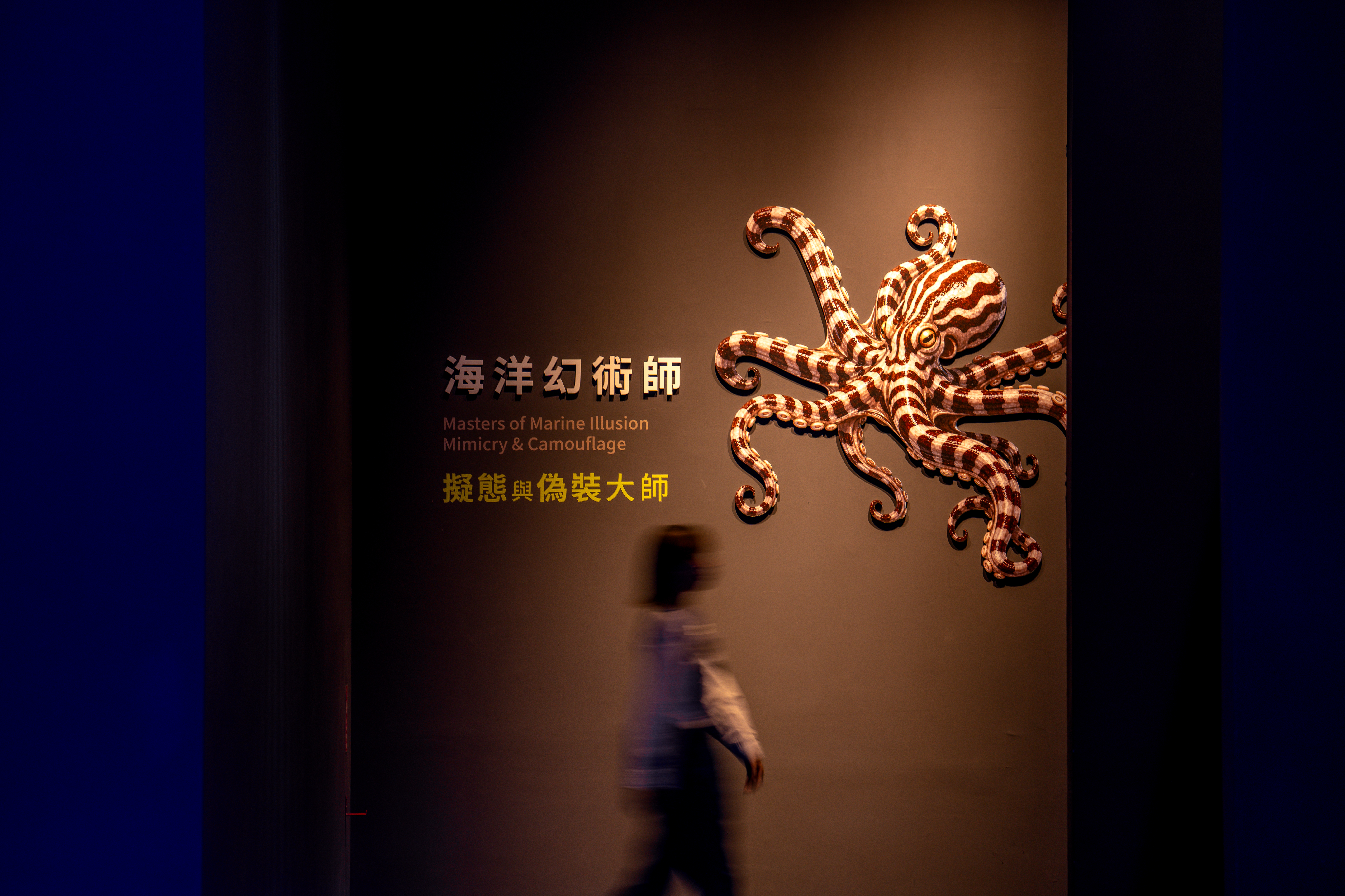 《 海 洋 幻 術 師 》 特 展 以 擬 態 與 偽 裝 為 主 題 , 展 期 延 長 至 1 0 月 3 1 日 , 為 三 地 集 團 旗 下 台 中 海 洋 館 週 年 慶 再 添 話 題 。 ( 圖 / 台 中 海 洋 館 提 供 ) 《 海 洋 幻 術 師 》 特 展 以 擬 態 與 偽 裝 為 主 題 , 展 期 延 長 至 1 0 月 3 1 日 , 為 三 地 集 團 旗 下 台 中 海 洋 館 週 年 慶 再 添 話 題 。 ( 圖 / 台 中 海 洋 館 提 供 )