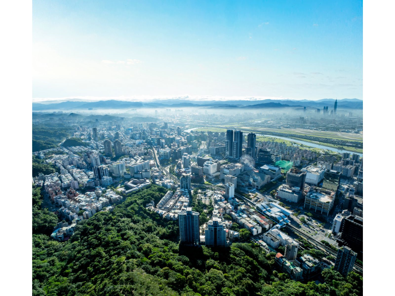 震大懷真-大鳥瞰