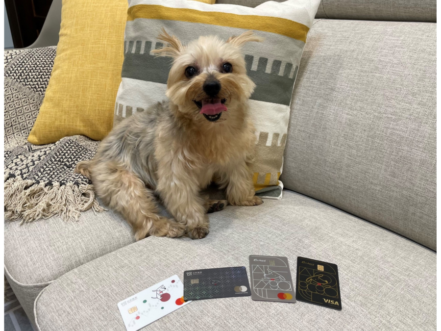 圖說1：國際狗狗日，帶毛寶貝咩寶出遊用餐，使用台新銀行信用卡享最高15%回饋。