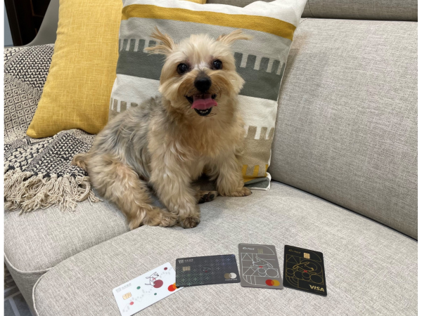 圖說1：國際狗狗日，帶毛寶貝咩寶出遊用餐，使用台新銀行信用卡享最高15%回饋。