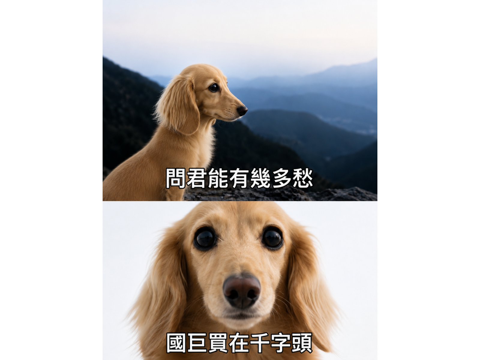 ChatGPT%20Image%202026%E5%B9%B47%E6%9C%8829%E6%97%A5%20%E4%B8%8A%E5%8D%8811 14 15%20(2)
