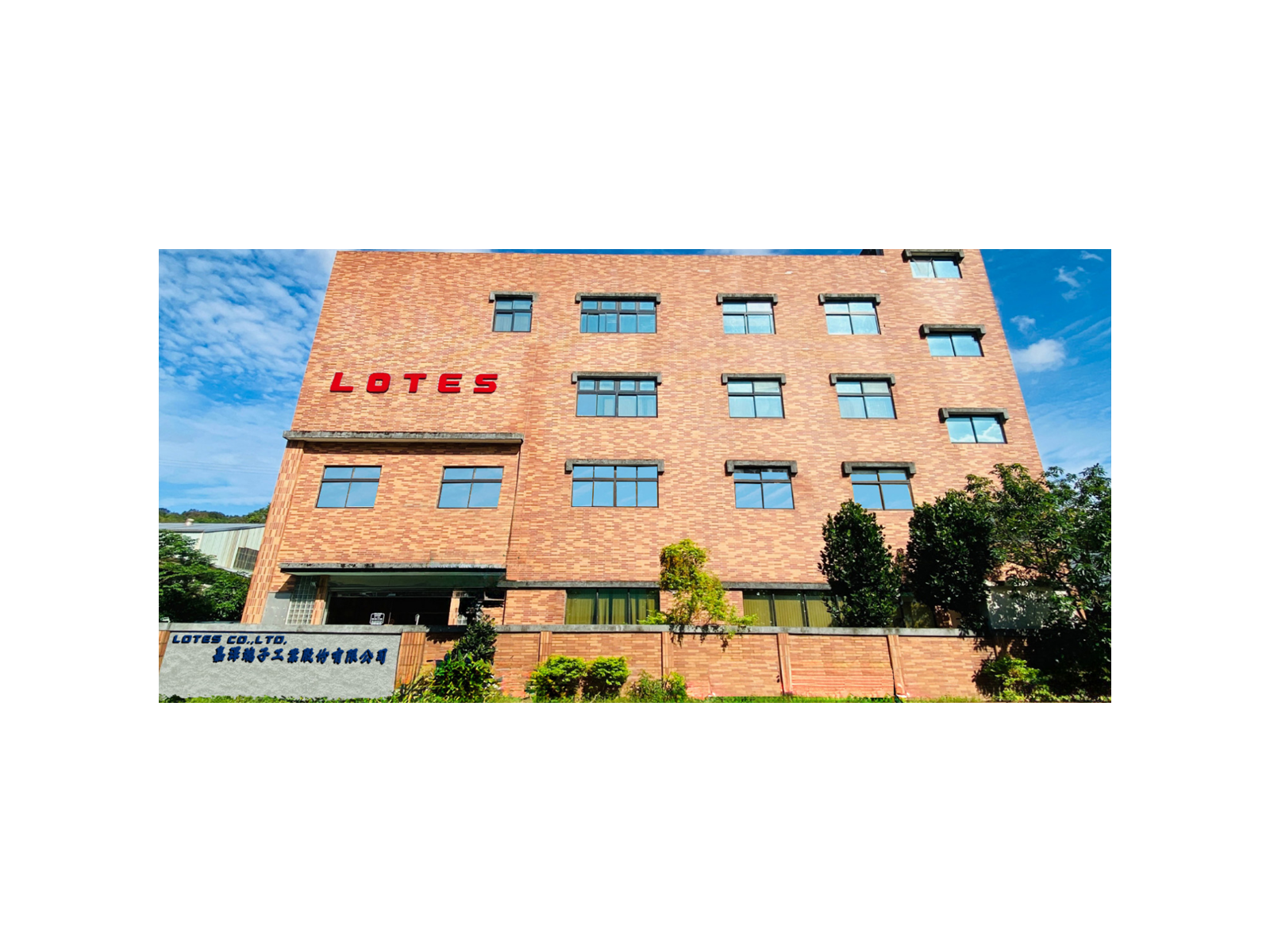LOTES SOCKET
