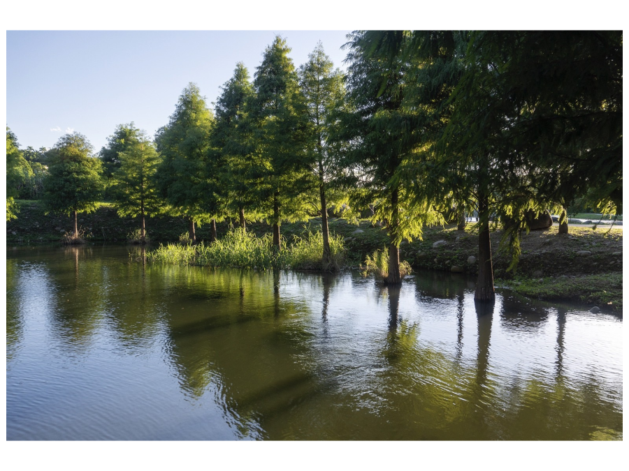 大溪一直都已觀光作為主力發展，區內腹地綠覆比高，非常適合愛好生活的族群定居，能夠晨間熱血慢跑、夜間愜意漫步。
