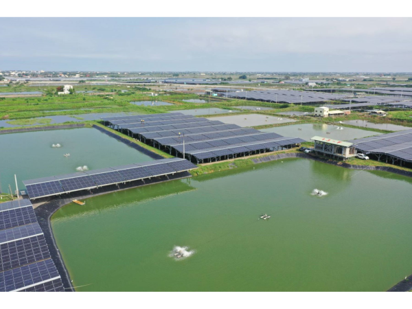 台泥嘉謙綠能在嘉義漁電共生一期案場，至今已為台電發出137496643度綠電，實際貢獻國內電網