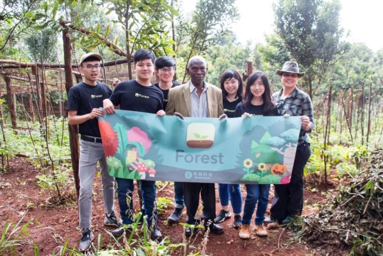 《 Forest：專注森林》  不用手機也能種出一百萬棵樹的 App