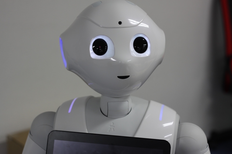 鴻海代工機器人Pepper停產 軟銀縮減機器人業務