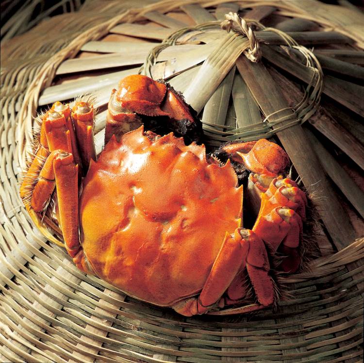 秋季品蟹正當時 台北遠東香格里拉推出「秋蟹饗宴」