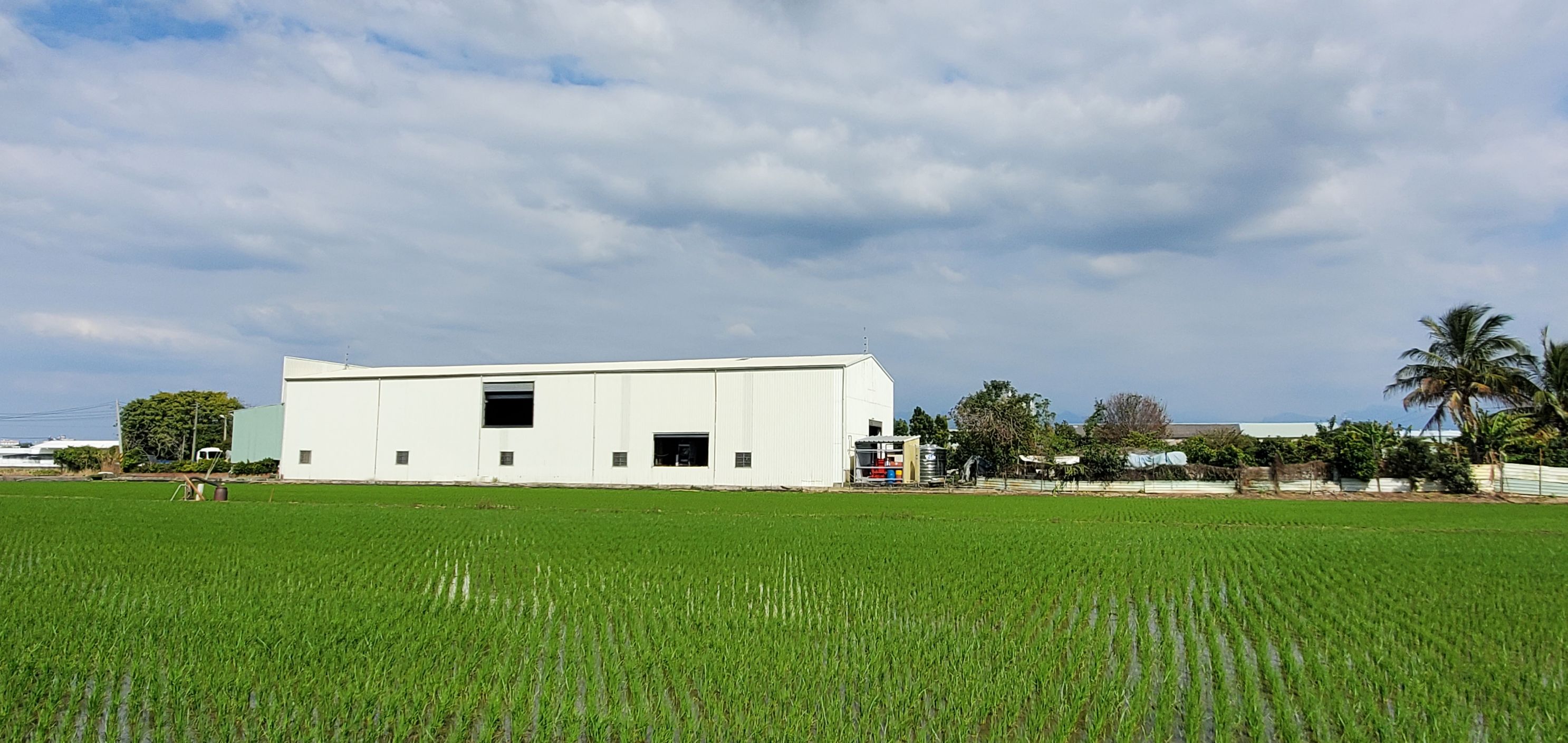 農地上到處可見違章工廠。