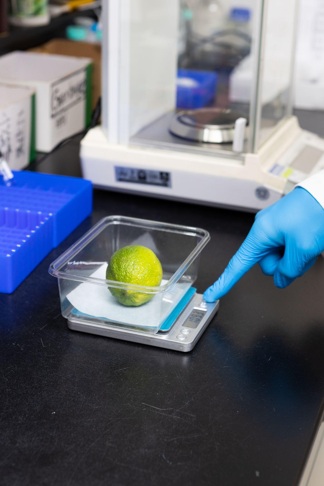 「澄食馥喆」平台將農產履歷透明化,為買賣雙 方創造共好。 「澄食馥喆」平台將農產履歷透明化,為買賣雙 方創造共好。