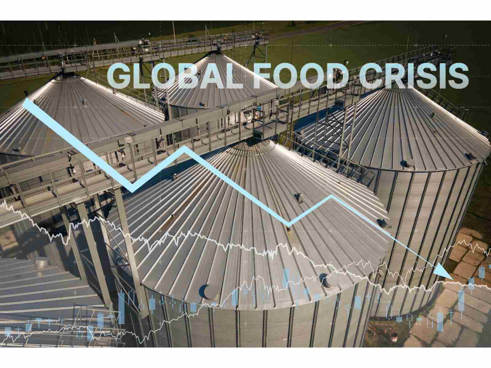 全球糧食安全示警