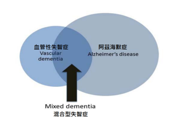 資料來源：林口長庚紀念醫院神經內科系腦血管科鄭之光醫師，林口長庚醫院病友會簡報：2016年12月03日。