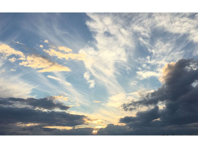 （圖片來源：Canva）