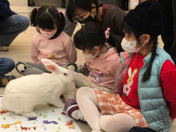 守護兔子的黃色天使─「台灣愛兔協會」