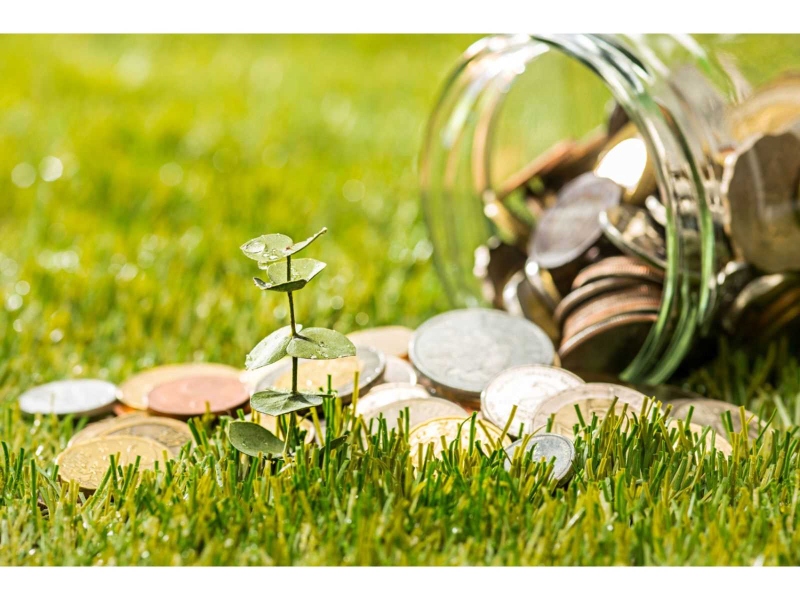 Image by master1305 on Freepik