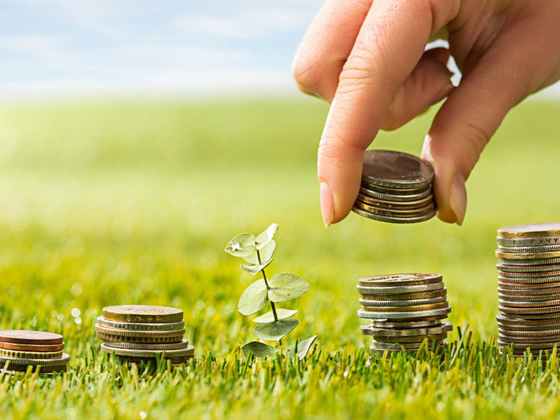 Image by master1305 on Freepik