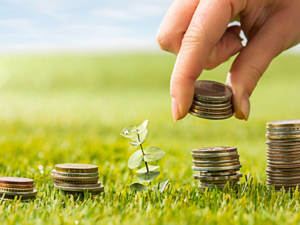 Image by master1305 on Freepik