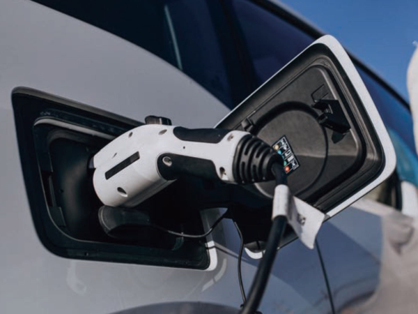 （圖片來源：Freepik）