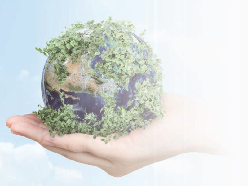 （圖片來源：Freepik）