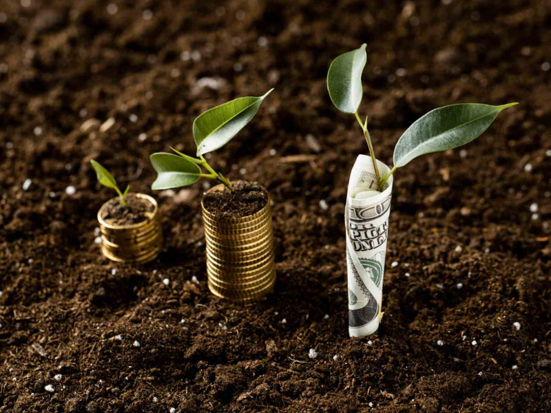 （圖片來源：Freepik）