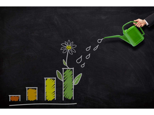 Image by Tumisu from Pixabay