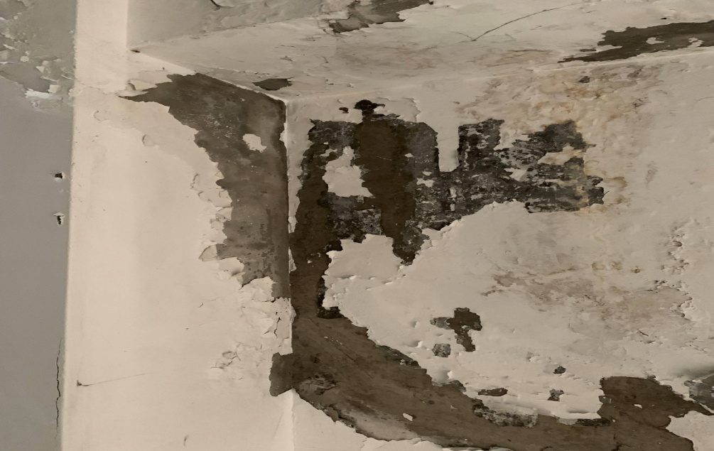 天 花 板 鋼 筋 裸 露 險 象 環 生 天 花 板 鋼 筋 裸 露 險 象 環 生