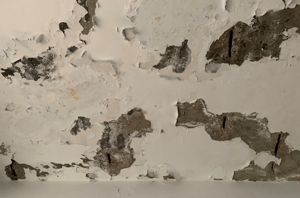 天 花 板 鋼 筋 裸 露 險 象 環 生 天 花 板 鋼 筋 裸 露 險 象 環 生