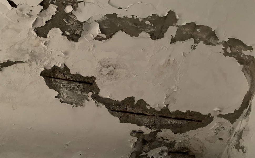 天 花 板 鋼 筋 裸 露 險 象 環 生 天 花 板 鋼 筋 裸 露 險 象 環 生