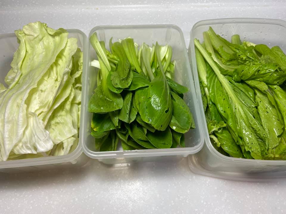 楊 賢 英 分 享 ， 在 葉 菜 中 加 入 些 許 鹽 巴 浸 泡 ， 可 以 拉 長 保 存 期 限 。 