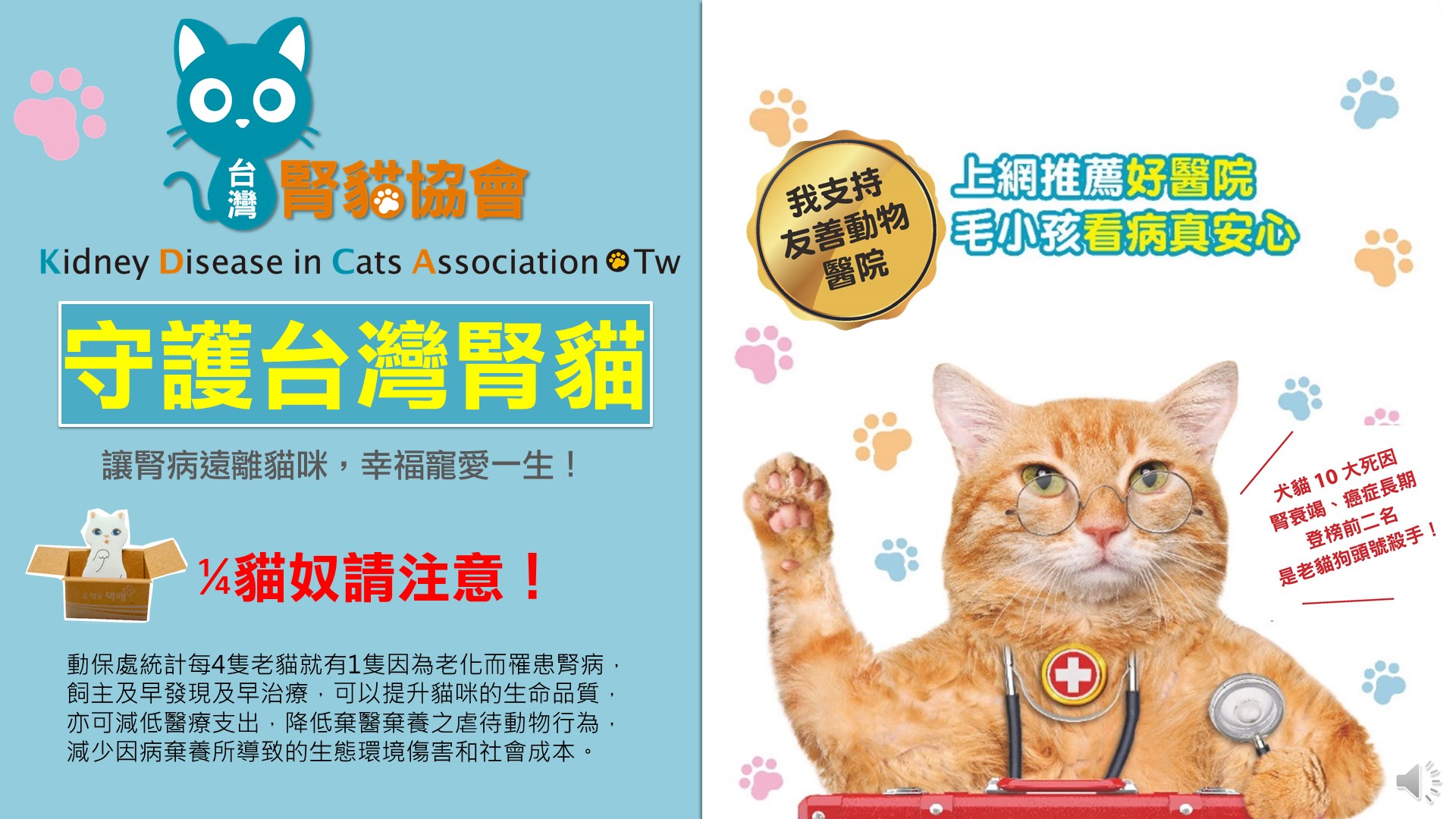 在 台 灣 每 四 隻 老 貓 就 有 一 隻 得 到 腎 病 ， 協 會 提 倡 友 善 動 物 醫 院 機 制 。 