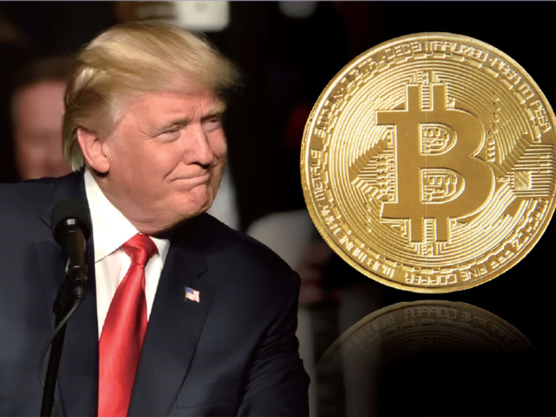 圖片來源：達志影像、Freepik