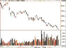 選舉行情升溫 <a href=