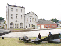 陳冲喊富民經濟 科技、金控老闆有眼光47146